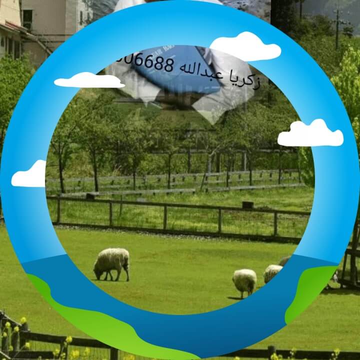 testimonial-user Zakaria Abdullah